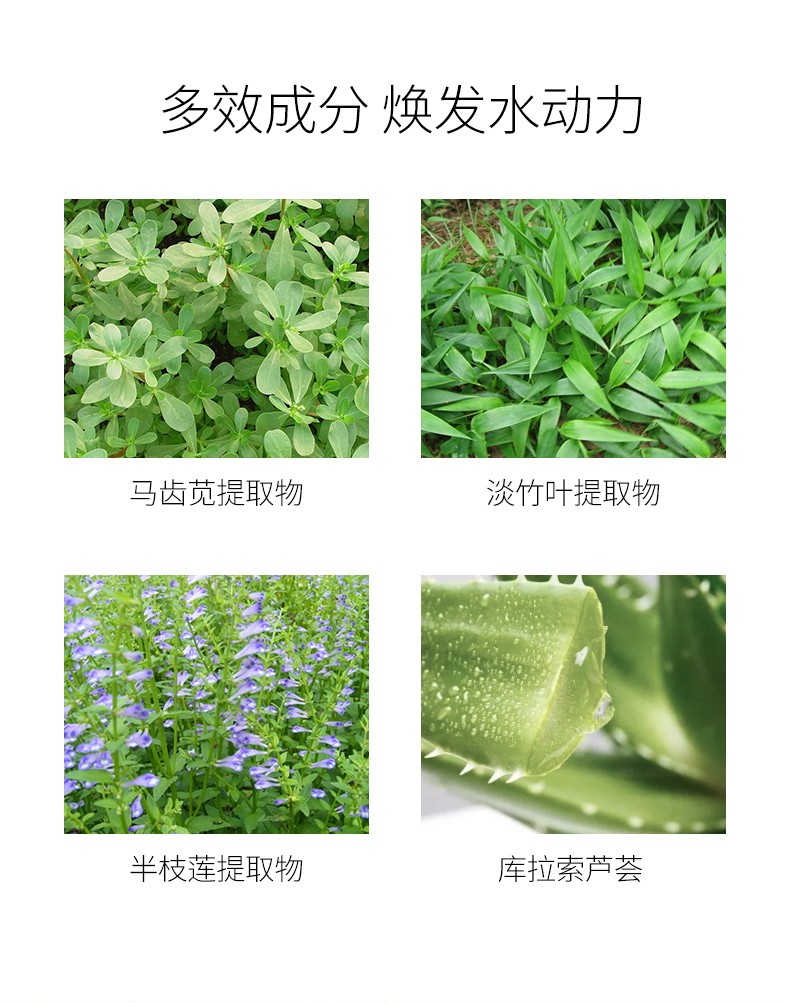 壹博士舒安保湿面膜